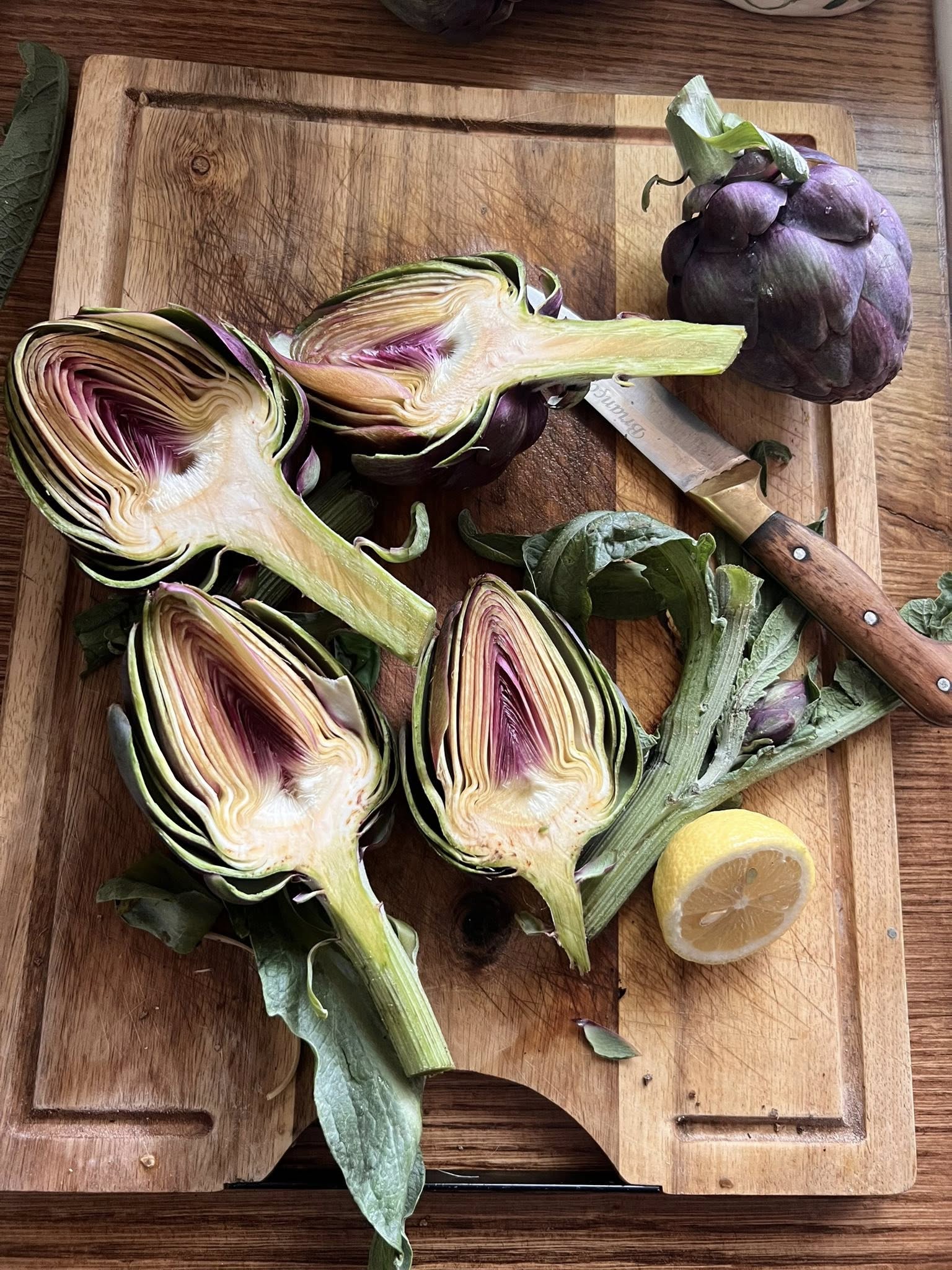 497578074_122125960412713987_1367724509971938781_n